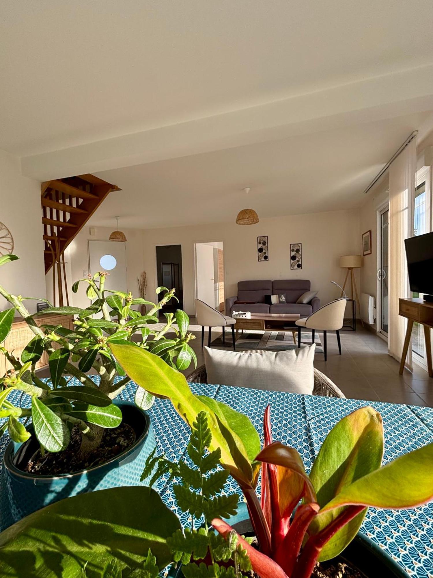 Maison Colette - Proche Plage Сен-Мало Экстерьер фото